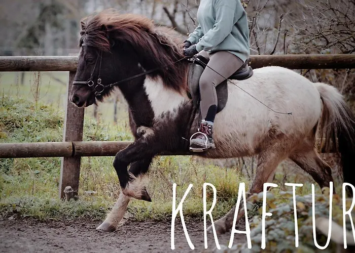 Sommerweide 160qm Bis 10p *